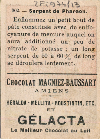 Chocolat Magniez-Baussart, Amiens. Image 302 : serpent de pharaon