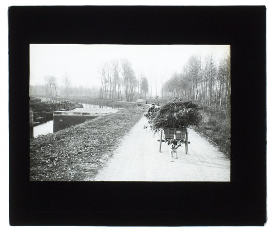 Ailly-sur-Somme chemin de halage - 1908