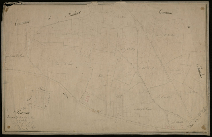 Plan du cadastre napoléonien - Peronne : Arbre de Barleux (L'), D