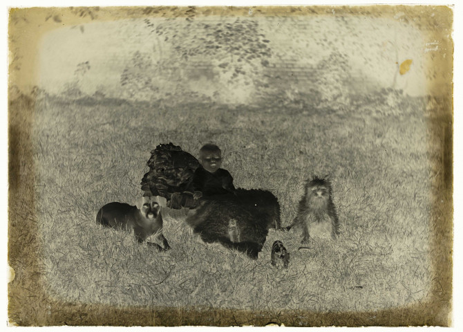 Martinsart (Somme). Un enfant assis dans l'herbe avec ses jouets et deux chiens