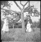 Scène d'acrobatie dans un arbre