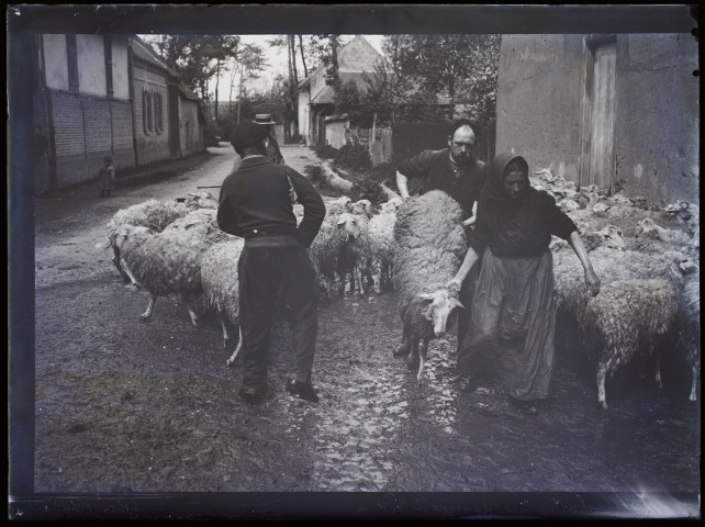 Lavage des moutons à Vers - mai 1904