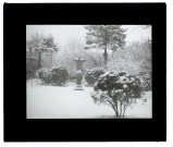Effet de neige jardin Vulfran-Warmé 89 - février 1909