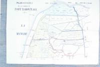 Plan d'ensemble de la commune de Fort-Mahon-Plage