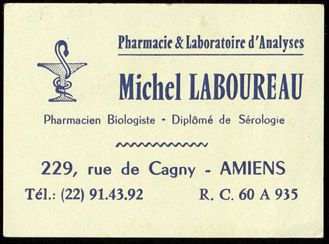 Image publicitaire pour les pharmacie et laboratoire d'analyses Michel Laboureau à Amiens : "Japonnaises"