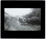 Dans le bois de Wailly (Somme) - septembre 1903