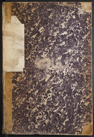 Maison de correction dite Bicêtre à Amiens. Registre d'écrou : numéros 11902 à 12623. 19 novembre 1849 - 07 novembre 1850