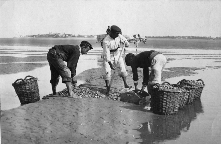 Pêcheurs de coques ou de hénons sur la plage du Crotoy. Trois pêcheurs remplissant des paniers avec leur récolte
