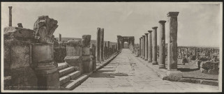 Ruines romaines de Timgad (panorama du Decumanus Maximus ND Phot. N° 1464) 