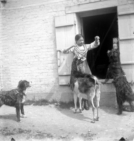 Portrait de Jeune fille jouant avec des animaux : chèvre et chien
