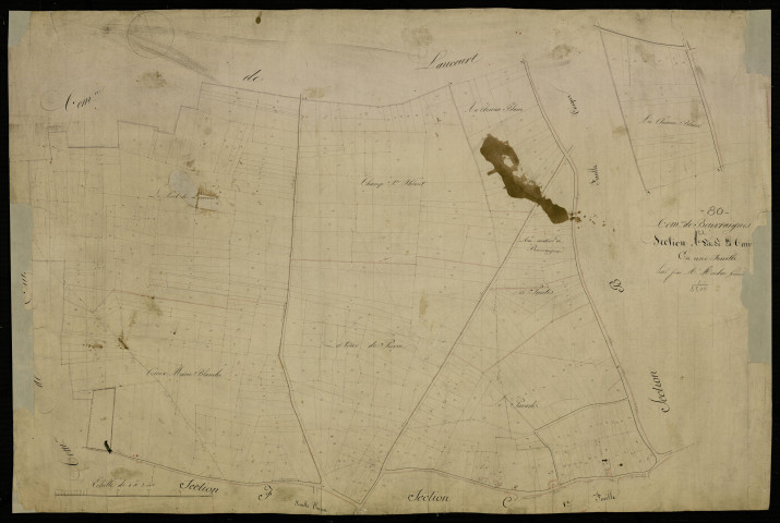 Plan du cadastre napoléonien - Beuvraignes : Tour de Pierre (La), A