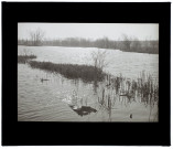 Marais de Lamotte-Brebière - mars 1933