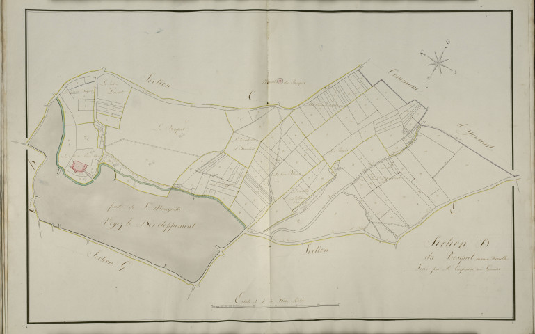 Plan du cadastre napoléonien - Saint-Riquier : Bosquet (Le), D