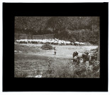 Lavage des moutons à Neslette - juin 1911