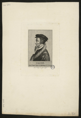 Jean Calvin, d'après l'original déposé à la bibliothèque de Genève : profil à gauche