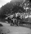 Un attelage de chevaux le long du canal de la Somme