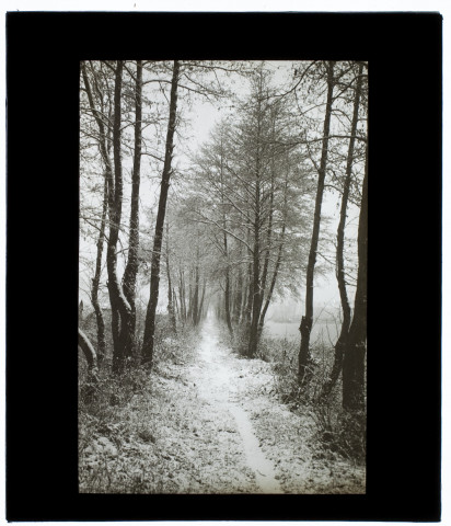 Effet de neige marais de Rivery - 1911