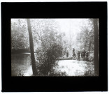 Marais de La Faloise - juin 1911