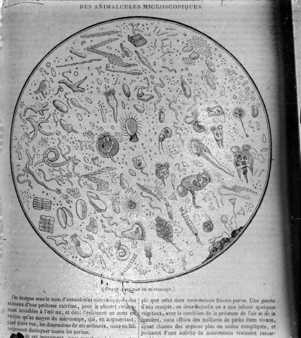 Essai photographique sur une page illustrée figurant une goutte d'eau vue au microscope