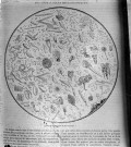 Essai photographique sur une page illustrée figurant une goutte d'eau vue au microscope
