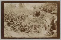 1915. CHASSE AUX RENARDS. AMAURY DELOMEL