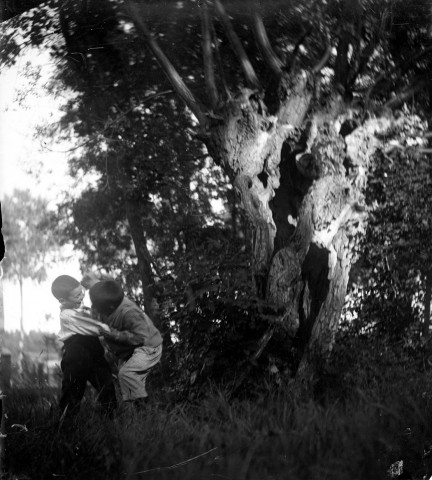 Portrait d'enfants jouant sous un vieux saule