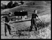 Stalag. Prisonniers effectuant les foins en Allemagne