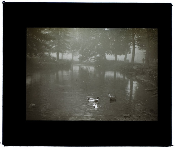 Neuville-sur-Loeuilly brouillard - octobre 1921