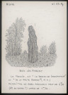 Bois-lès-Pargny (Aisne) : le Menhir - (Reproduction interdite sans autorisation - © Claude Piette)