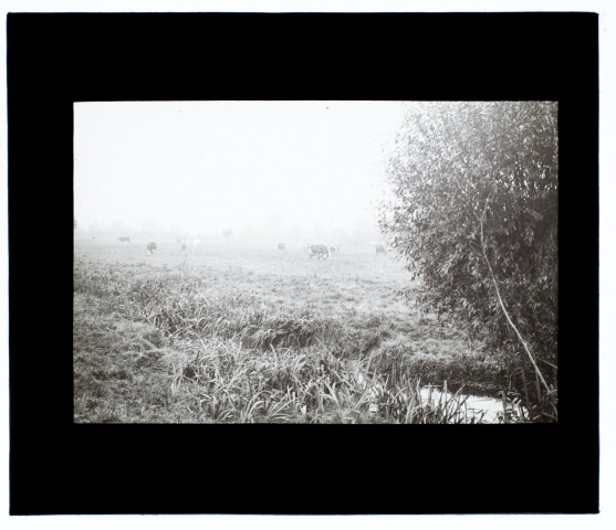 Marais de Guémicourt - octobre 1912