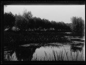 Marais de Rivery - juillet 1902