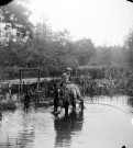Un jeune garçon faisant abreuver son cheval dans l'eau d'un marais