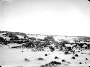 Paysage littoral. Les dunes