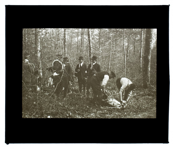 Chasse à courre forêt d'Eu - 1914