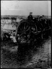 Offensive franco anglaise (juillet, décembre 1916). Attelage de l'armée britannique transportant des obus