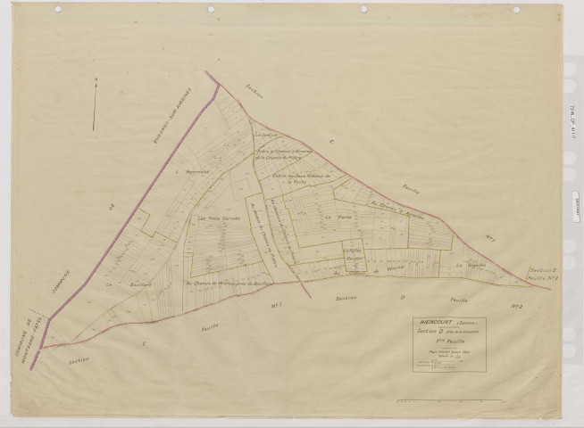 Plan du cadastre rénové - Riencourt : section D1