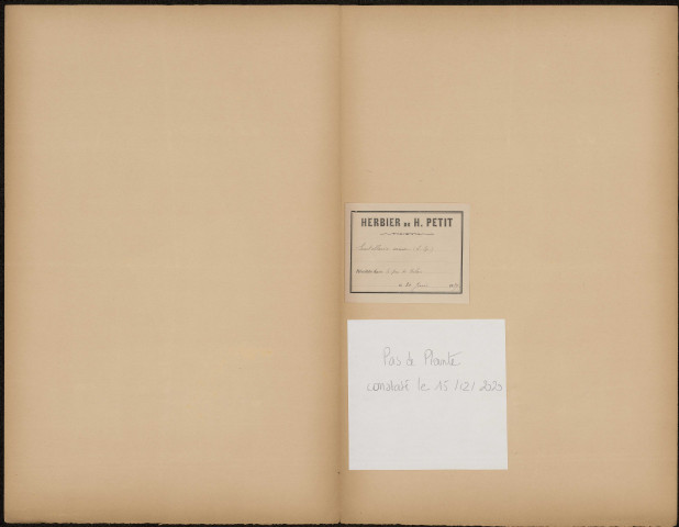 Scutellaria minor - SPECIMEN MANQUANT, plante prélevéeà [Lieu inconnu];Pas-de-Calais (département, France), n.c., 20 juin 1889