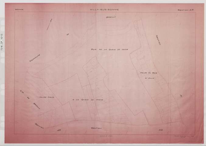 Plan du cadastre rénové - Ailly-sur-Somme : section AP