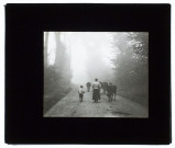 Effet de brouillard à Liercourt - octobre 1908