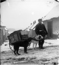 Scène hivernale. Homme avec un attelage de chiens dans une rue enneigée de Bray sur Somme
