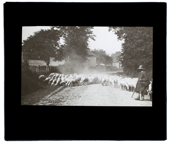 Vue prise route de Prouzel - juin 1903