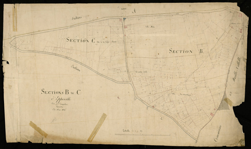 Plan du cadastre napoléonien - Eppeville : Verlaine, D et partie développée de D
