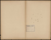 Lemna Minor, plante prélevée à Amiens (Somme, France), dans les hortillonnages, 28 mai 1888