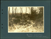 Près d'Estrées (Somme), au Bois des Satyres. Emplacement d'une ancienne batterie allemande
