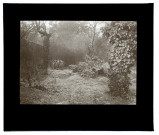 Jardin Vulfran-Warmé 89 - effet de givre - décembre 1933