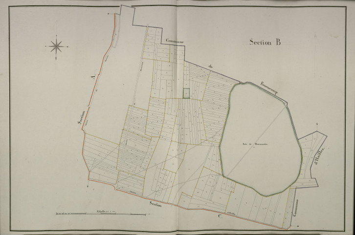 Plan du cadastre napoléonien - Dommartin : Bois de Dommartin (Le), B