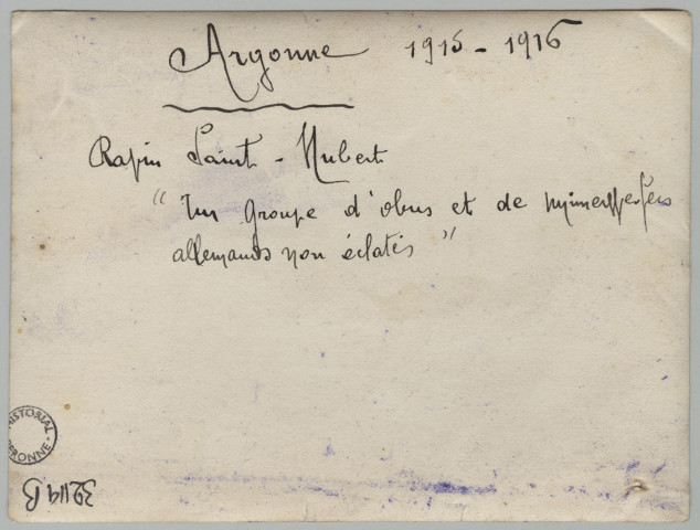 ARGONNE 1915-1916. RAVIN SAINT-HUBERT. "UN GROUPE D'OBUS ET DE MINENWERFEN ALLEMANDS NON ECLATES !"