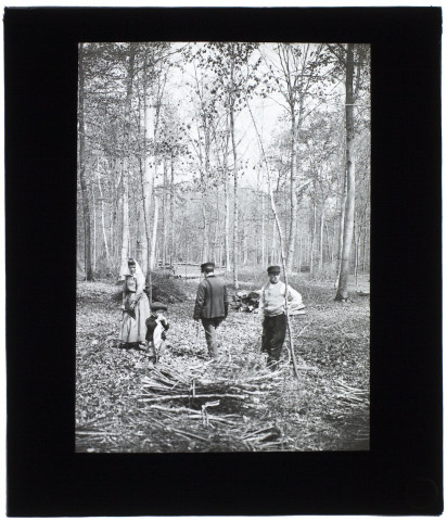 [Deux hommes, une femme et un enfant occupés ramassage de branches dans les sous-bois. Confection de fagots de bois]