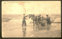 Oostduinkerke plage : un attelage de pêcheur