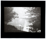 Effet de brouillard - parc d'Emonville - octobre 1912
